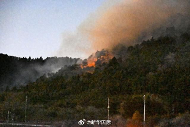 日本多地燃起山火,强风阻碍灭火