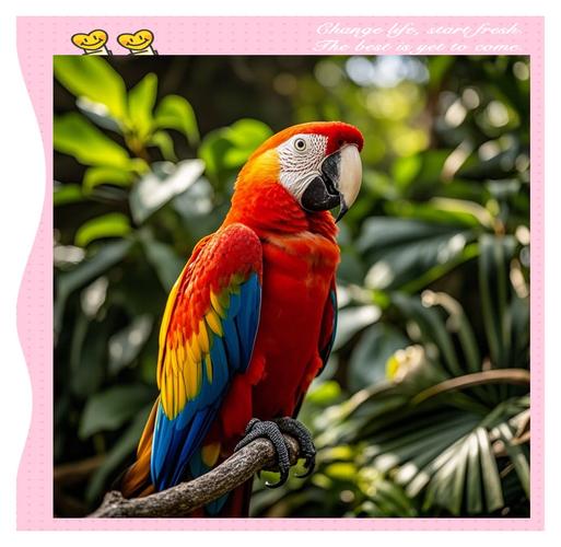 颜色最鲜艳的动物有哪些?世界上颜色最鲜艳的10大动物(附2024排名前十完整榜单)