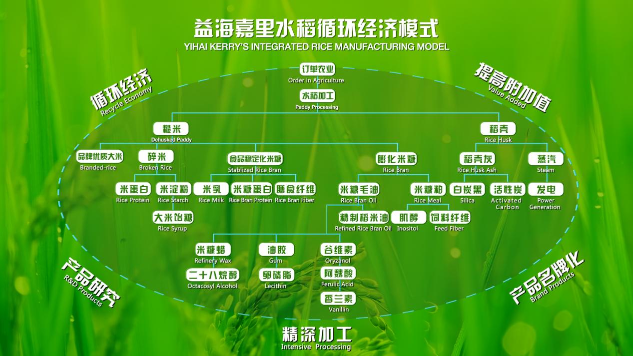 《人民日报》头版报道爱国侨企金龙鱼:揭开38年千亿投资背后的创新故事