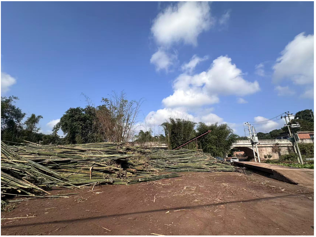 金融赋能竹产业，政银协同促振兴——泸州银行首笔“竹易贷”落地合江，助推县域特色产业高质量发展