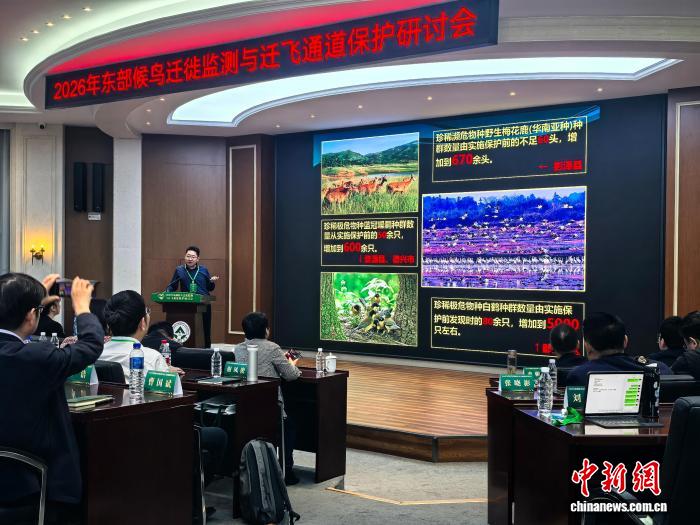 东部候鸟迁飞通道：中国多省联动织密跨国生态保护网