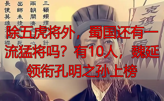 除五虎将外，蜀国还有一流猛将吗？有10人，魏延领衔孔明之孙上榜
