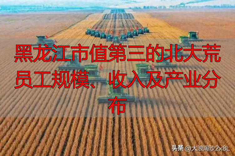 黑龙江市值第三的北大荒员工规模、收入及产业分布