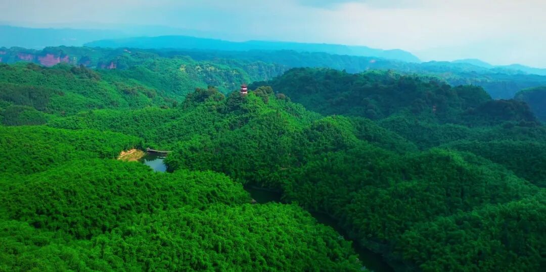 “一”见恒丰 | 同行“竹乡”路 共听“拔节”声