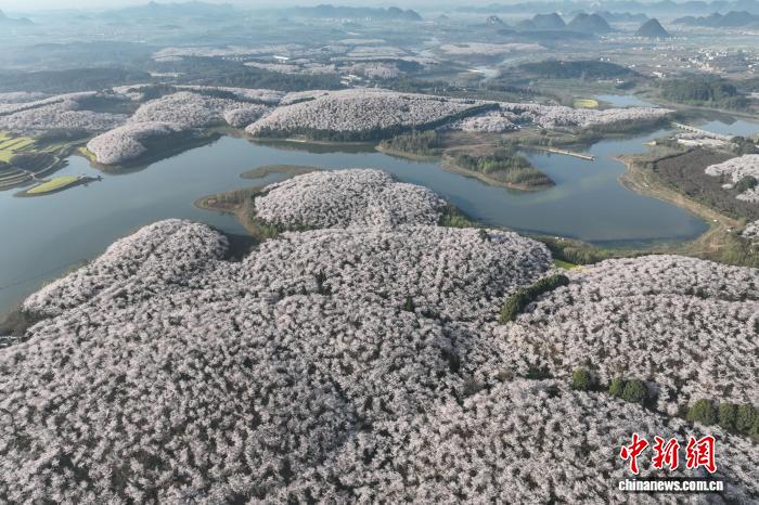 从“看客”到“玩家”  中国春日“花样”多