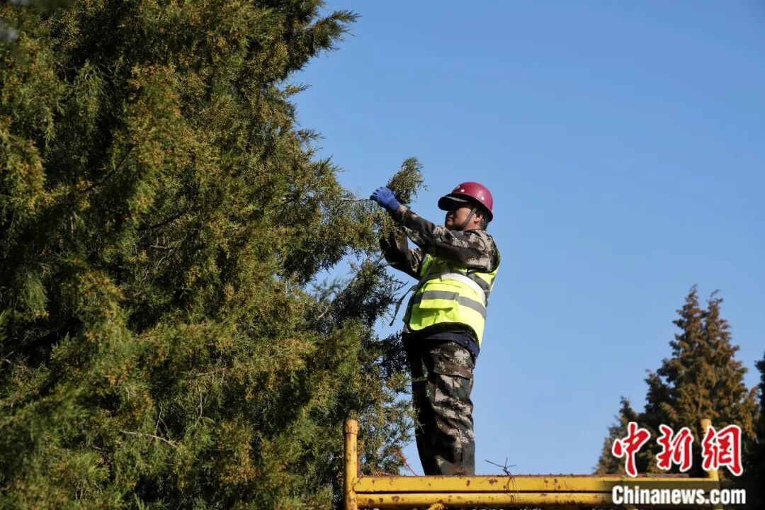 花粉季来袭，如何破解春日里的健康考题？