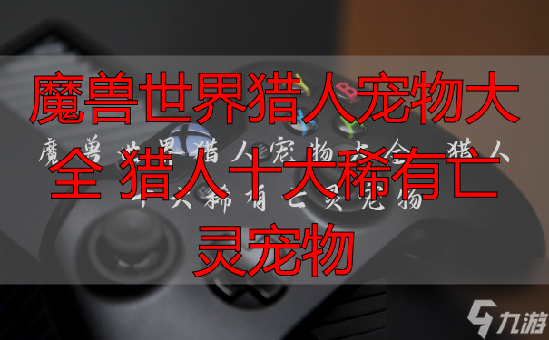 魔兽世界猎人宠物大全 猎人十大稀有亡灵宠物