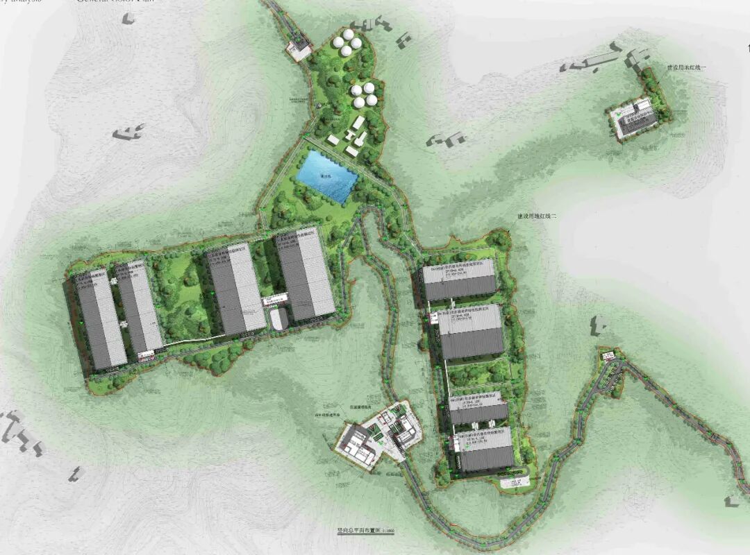 恒丰银行为新春“肉篮子”添“金”