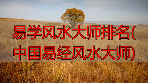 易学风水大师排名(中国易经风水大师)