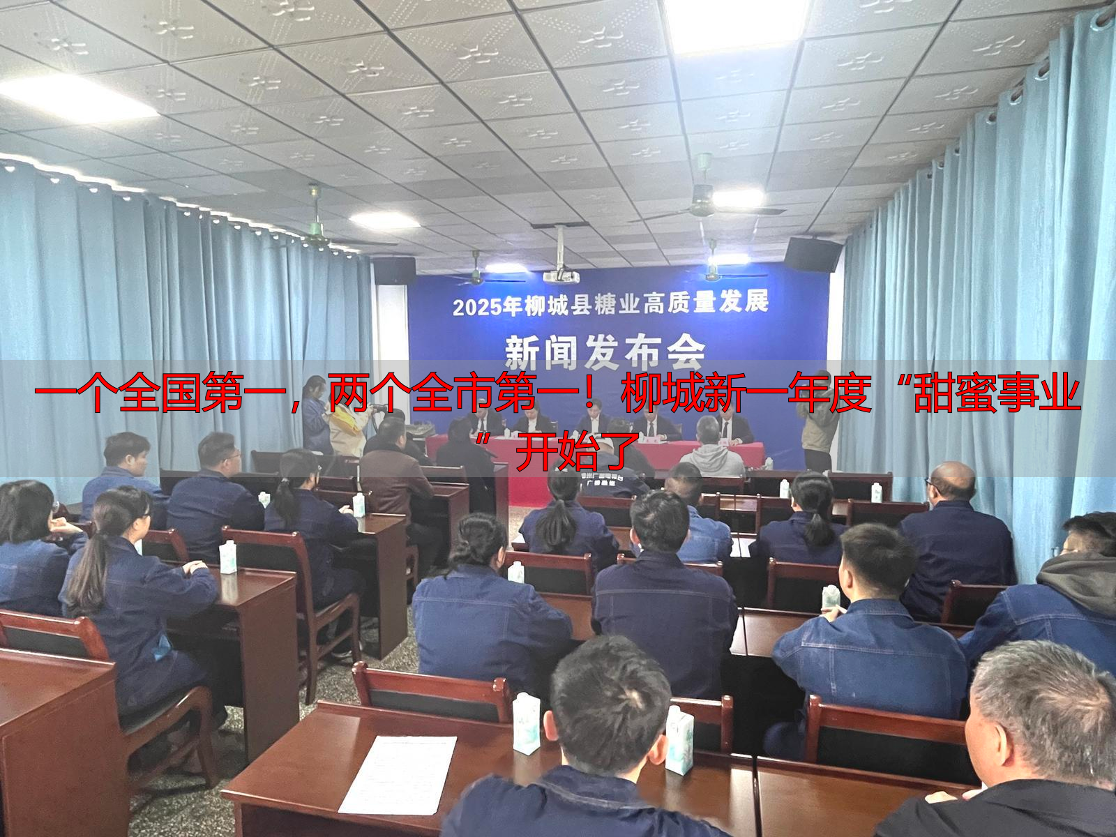 一个全国第一，两个全市第一！柳城新一年度“甜蜜事业”开始了