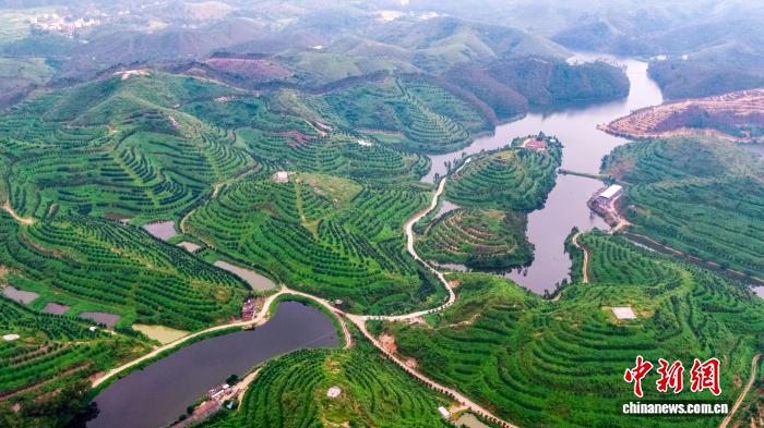 广东森林生态效益持续跃升 稳居全国最“绿”省份行列