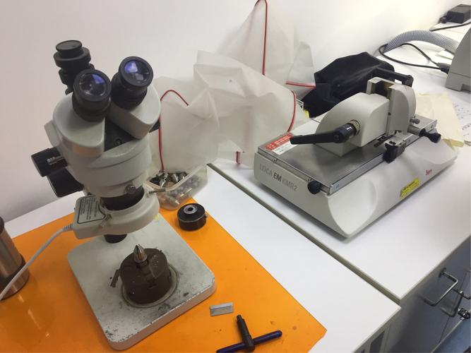 易方达张坤:在某个时刻,市场会意识到投资需求在国内的公司也是“在有鱼的地方钓鱼”