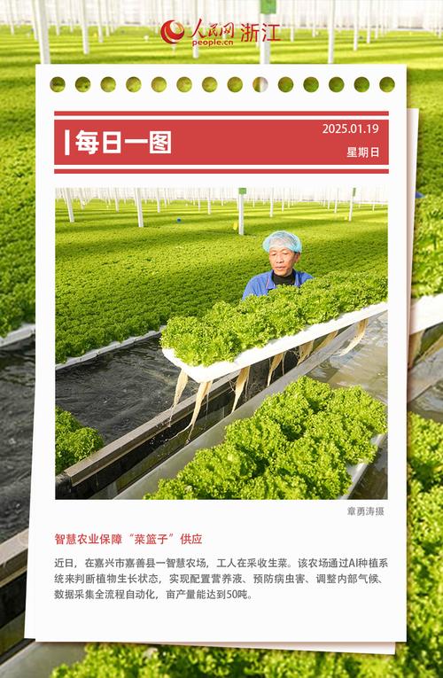 农业农村部:春节期间“菜篮子”产品供应有充分保障