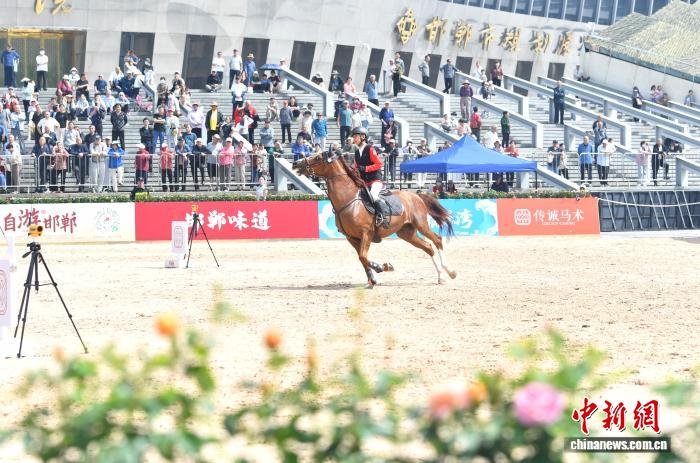 千年马蹄声回响：邯郸马术的古今传承