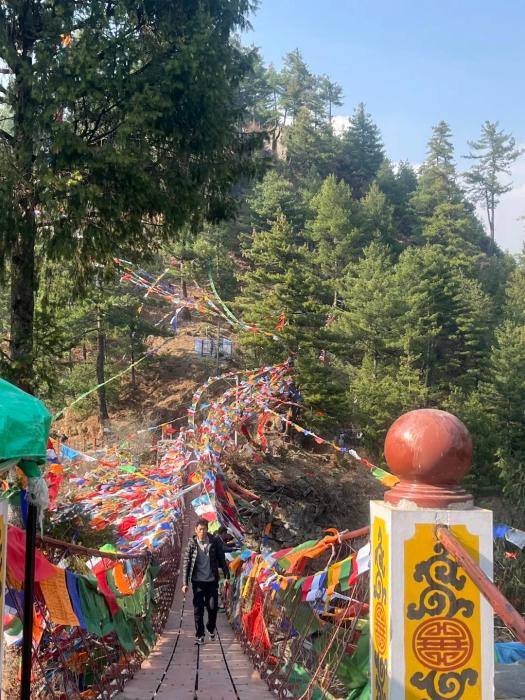 西藏边境村女孩的人生故事:从峡谷铁索到直播带货