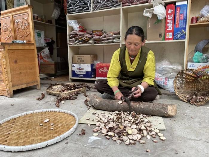 西藏边境村女孩的人生故事:从峡谷铁索到直播带货