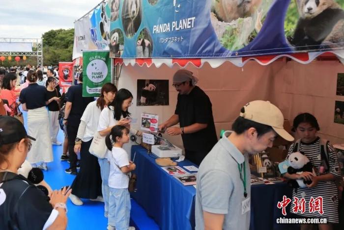 1972年以来首次,日本大熊猫“归零”