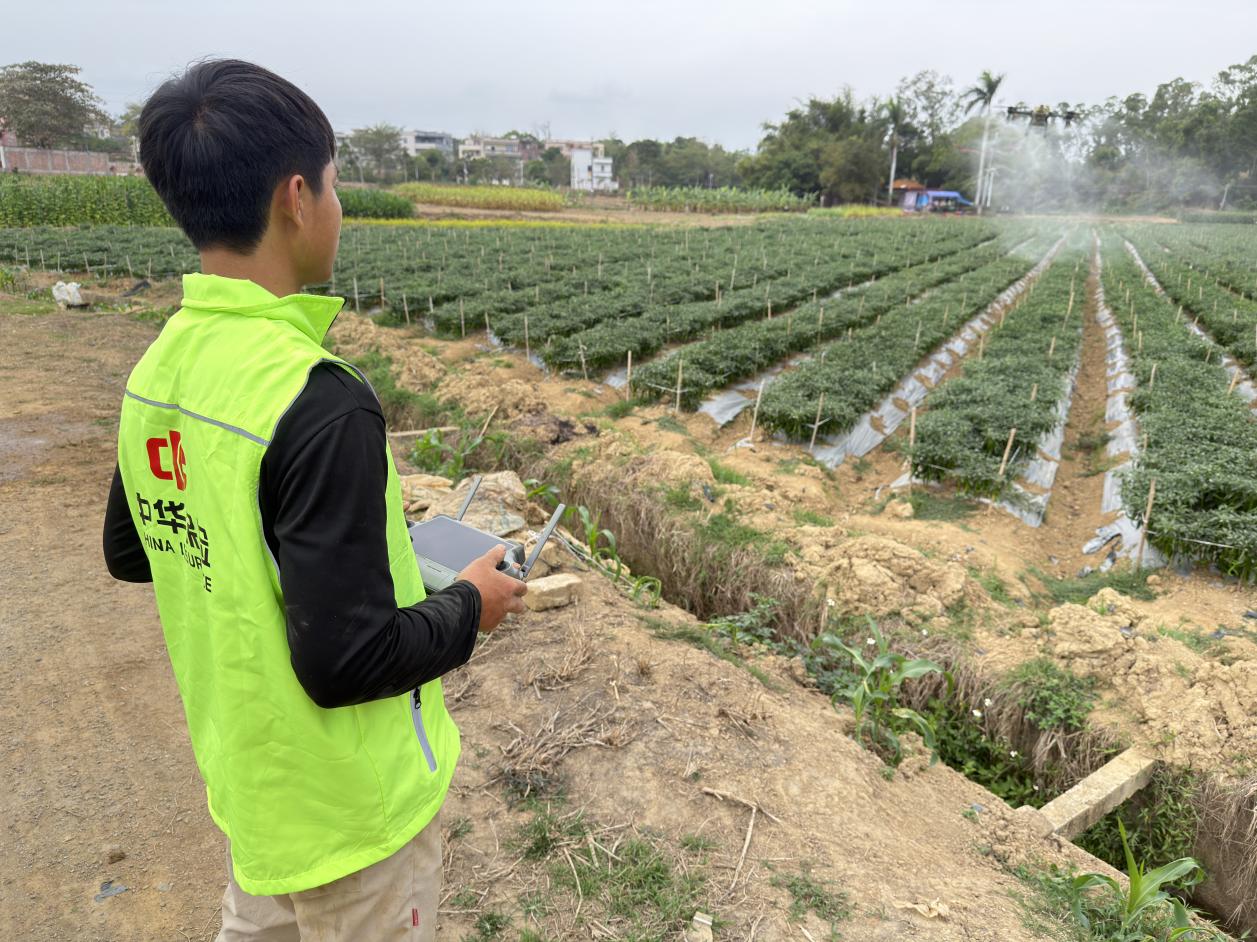 金融活水润南粤 中华保险护春耕——中华财险广东分公司护航2026年春耕备耕