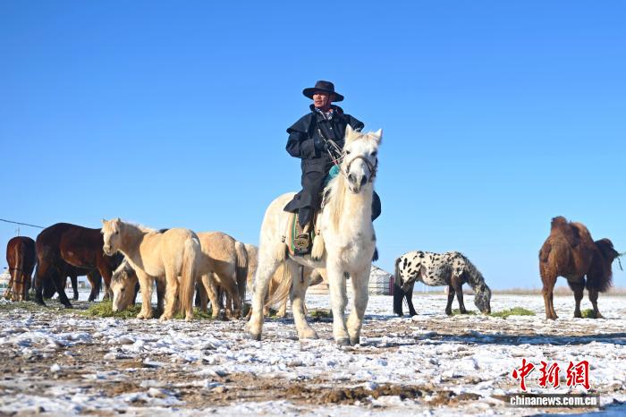 (新春走基层)肃北马背上的新牧人:青春接力,从草原到文旅融合