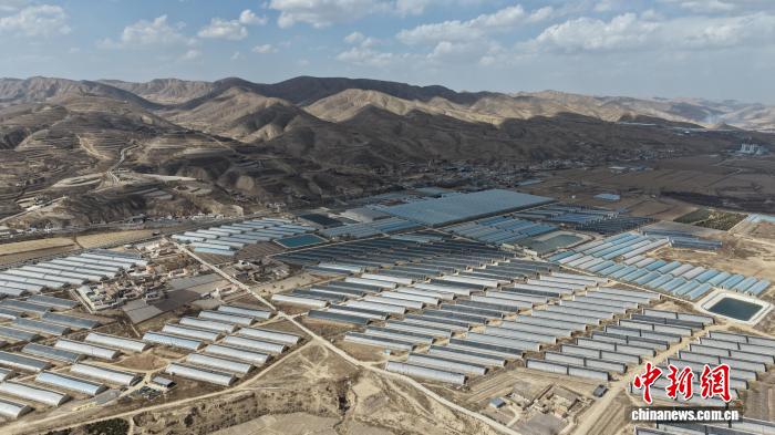 (走进中国乡村)“中国薯都”甘肃定西马铃薯“七十二变”花样出海