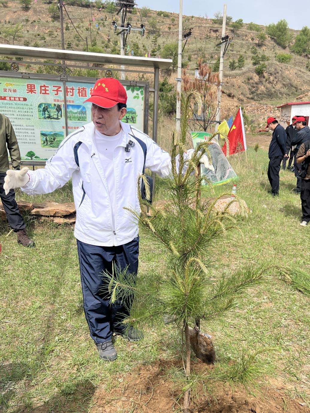 金龙鱼十四年扎根蔚县：植绿5000亩荒山，建成万吨级小米工厂助力乡村振兴
