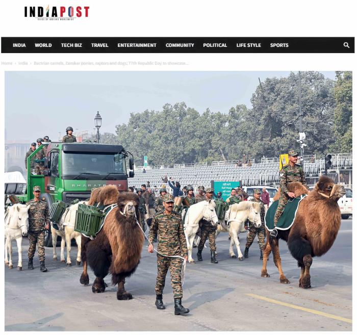 驼马耐劳、军犬立功、老鼠救人,“动物士兵”不简单