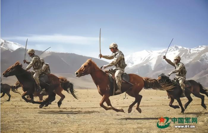 驼马耐劳、军犬立功、老鼠救人,“动物士兵”不简单